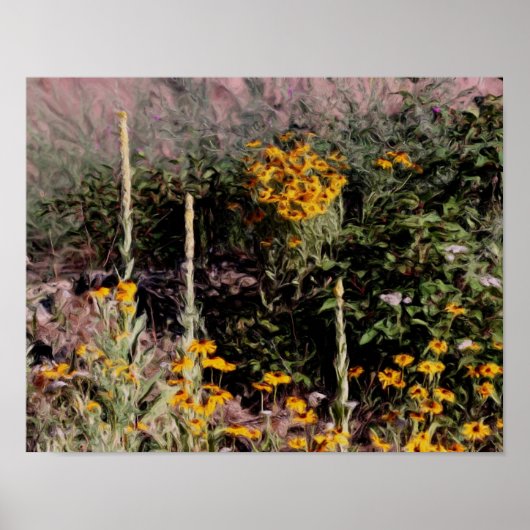 Mulleins Black Eyed Susan Flowers Poster (Voorkant)
