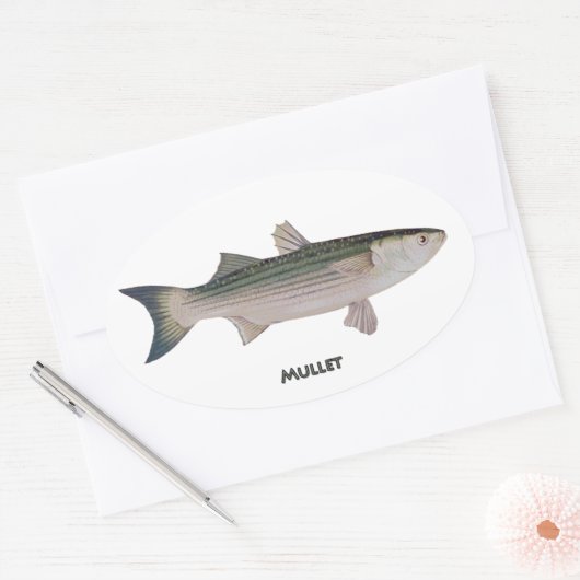 Mullet Fish Ovale Sticker (Envelop)