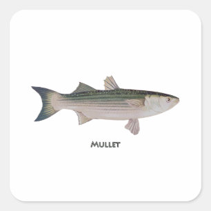 Mullet-Logo Vierkante Sticker