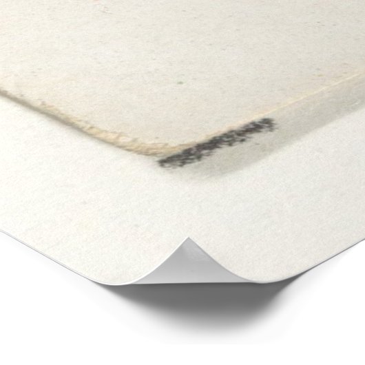  Mullet-vis (1889) Poster (Hoek)