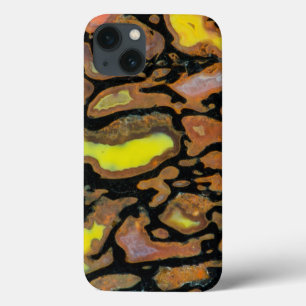 Multi-Color Dinosaur Bone Case-Mate iPhone Case