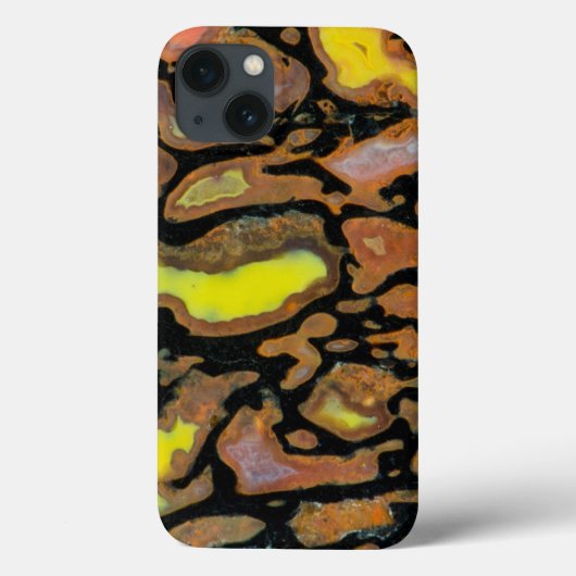 Multi-Color Dinosaur Bone Case-Mate iPhone Case (Achterkant)