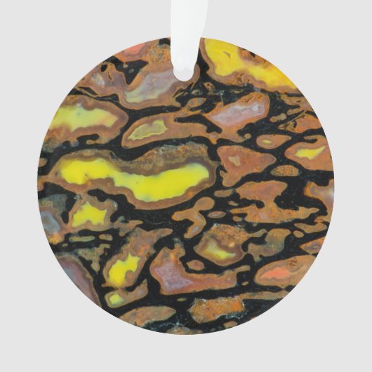 Multi-Color Dinosaur Bone Ornament (voorkant)