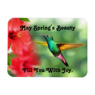 Multi-Color Hummingbird Photo Magnet Magneet