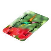 Multi-Color Hummingbird Photo Magnet Magneet (Linkerzijde)