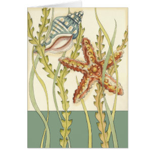 Multi-Color Shell Party