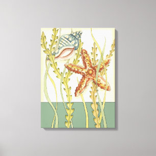 Multi-Color Shell Party Canvas Afdruk
