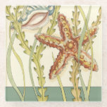 Multi-Color Shell Party Glazen Onderzetter<br><div class="desc">Charikilia Zarris is een getalenteerde kunstenaar die haar oceaankunst kent. Haar afbeeldingen zijn vreedzaam en kalm en ontspannen je met elk afbeelding. Haal dit nautische kunstwerk met een zeester en een kegel die het middelpunt zijn van alles, met een prachtig kelp. Dit afbeelding zal er geweldig uitzien op alle eindproducten....</div>