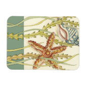 Multi-Color Shell Party Magneet (Horizontaal)