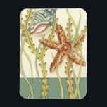 Multi-Color Shell Party Magneet<br><div class="desc">Charikilia Zarris is een getalenteerde kunstenaar die haar oceaankunst kent. Haar afbeeldingen zijn vreedzaam en kalm en ontspannen je met elk afbeelding. Haal dit nautische kunstwerk met een zeester en een kegel die het middelpunt zijn van alles, met een prachtig kelp. Dit afbeelding zal er geweldig uitzien op alle eindproducten....</div>