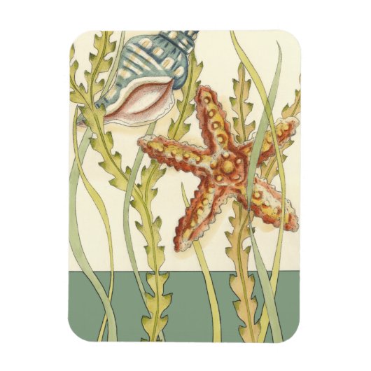 Multi-Color Shell Party Magneet (Verticaal)