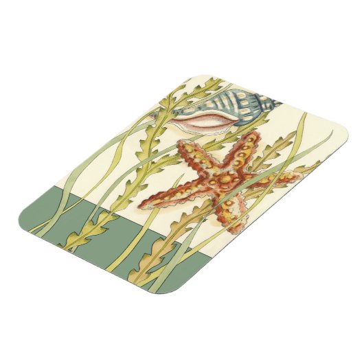 Multi-Color Shell Party Magneet (Linkerzijde)