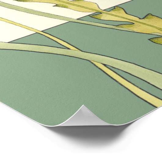 Multi-Color Shell Party Poster (Hoek)