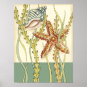 Multi-Color Shell Party Poster (Voorkant)