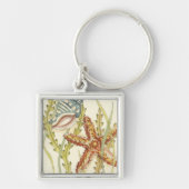 Multi-Color Shell Party Sleutelhanger (Voorkant)