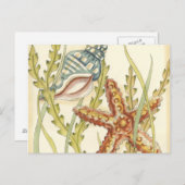 Multi-Color Shell Party Uitnodiging Briefkaart (Voorkant / Achterkant)