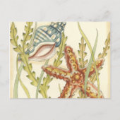 Multi-Color Shell Party Uitnodiging Briefkaart (Voorkant)