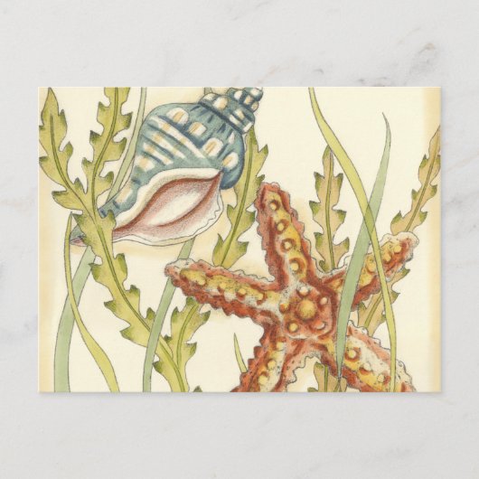 Multi-Color Shell Party Uitnodiging Briefkaart (Voorkant)