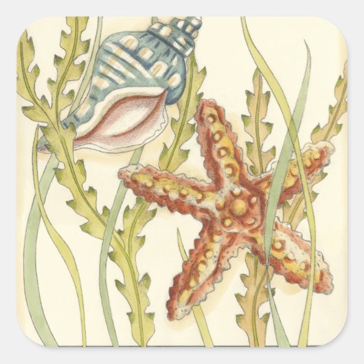 Multi-Color Shell Party Vierkante Sticker (Voorkant)