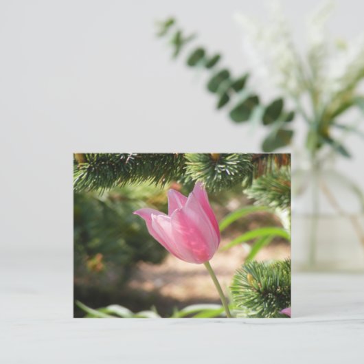 MULTI COLORED PINK TULIP BRIEFKAART (Staand voorkant)