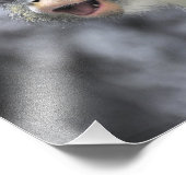 Multi-Colored Wolf Monkey Foto Afdruk (Hoek)