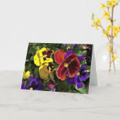 Multi Gekleurde Pansies Kaart (Gele Bloem)