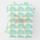 Multi Kleur Groen Nautilus Shell Inpakpapier (In situ)