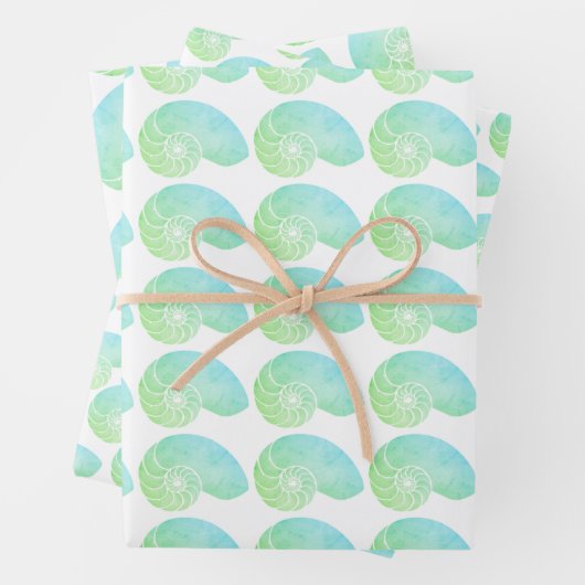 Multi Kleur Groen Nautilus Shell Inpakpapier (In situ)