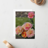 Multi Kleur Roze & Gele Rozen Notitiekaartje (Voorkant / Achterkant in situ)