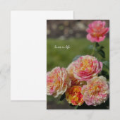 Multi Kleur Roze & Gele Rozen Notitiekaartje (Voorkant / Achterkant)