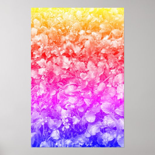 Multi Kleur Wilde Bloemen Poster (Voorkant)