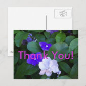 Multi petunia's Dank u Briefkaart (Voorkant / Achterkant)