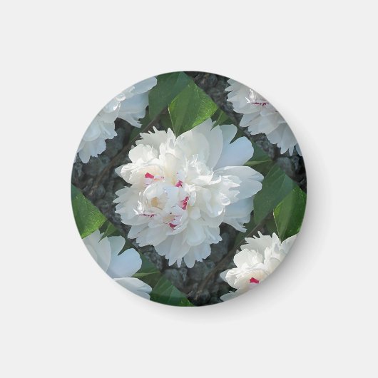 Multi-Precious Peony Magnet (Voorkant)