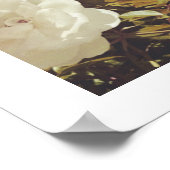 Multi Roses Bloementuin Foto Kunstprint Poster (Hoek)