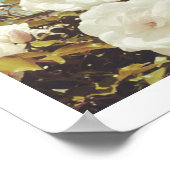 Multi Roses Bloementuin Foto Kunstprint Poster (Hoek)