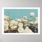 Multi Roses Floral Garden Photo Art Print Poster (Voorkant)