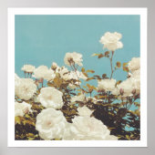 Multi Roses Floral Garden Photo Art Print Poster (Voorkant)