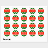 Multi Sneeuwvlokken Adresetiketten (rood / groen) Ronde Sticker (Vel)