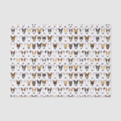 Multibull Terrier Tissue Paper Tissuepapier (Voorkant)