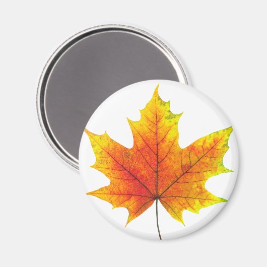 Multicolf maple leaf magneet (Voorkant / Achterkant)