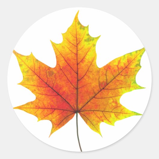 Multicolf maple leaf ronde sticker (Voorkant)