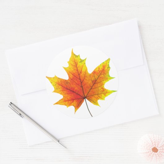 Multicolf maple leaf ronde sticker (Envelop)