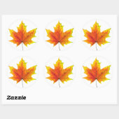 Multicolf maple leaf ronde sticker (Vel)