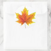 Multicolf maple leaf ronde sticker (Tas)