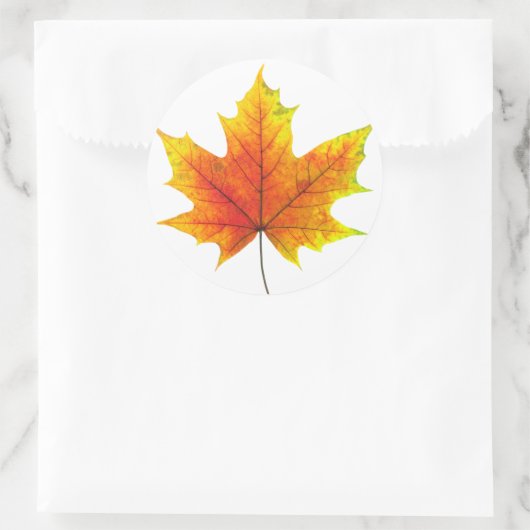 Multicolf maple leaf ronde sticker (Tas)