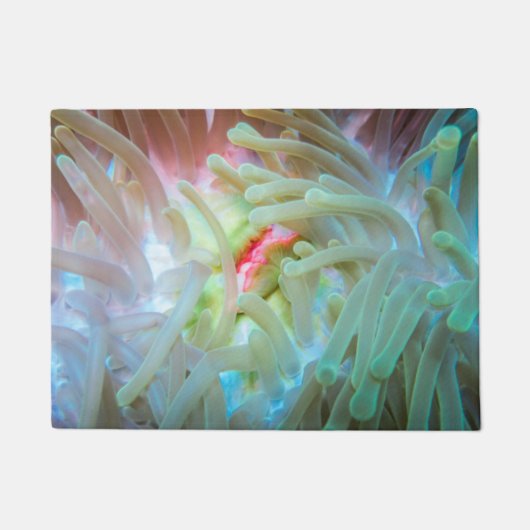 Multicolf Zee Anemone Deurmat (Voorkant)