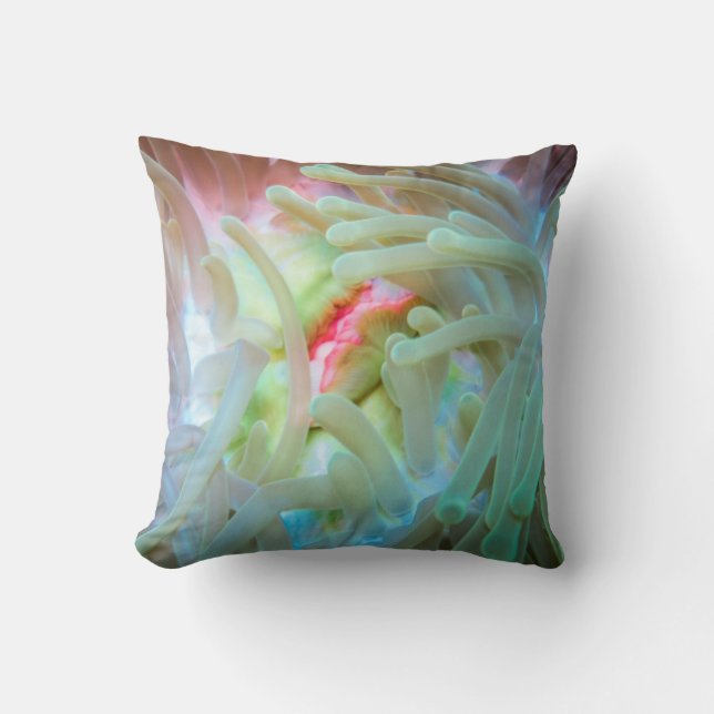 Multicolf Zee Anemone Kussen (Voorkant)