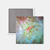 Multicolf Zee Anemone Magneet (Voorkant / Achterkant)