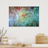 Multicolf Zee Anemone Poster (Keuken)