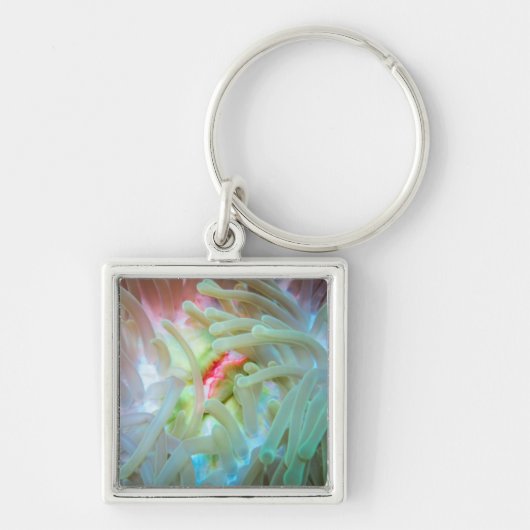 Multicolf Zee Anemone Sleutelhanger (Voorkant)